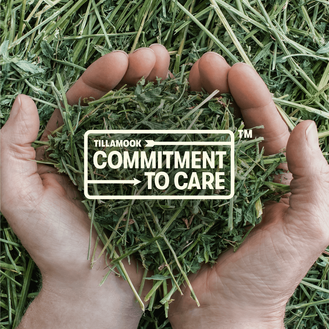 Commitment to care