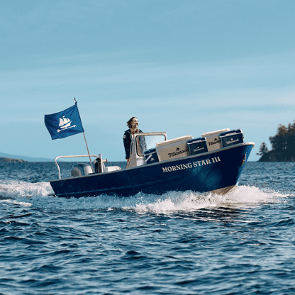 Our story card campaign image