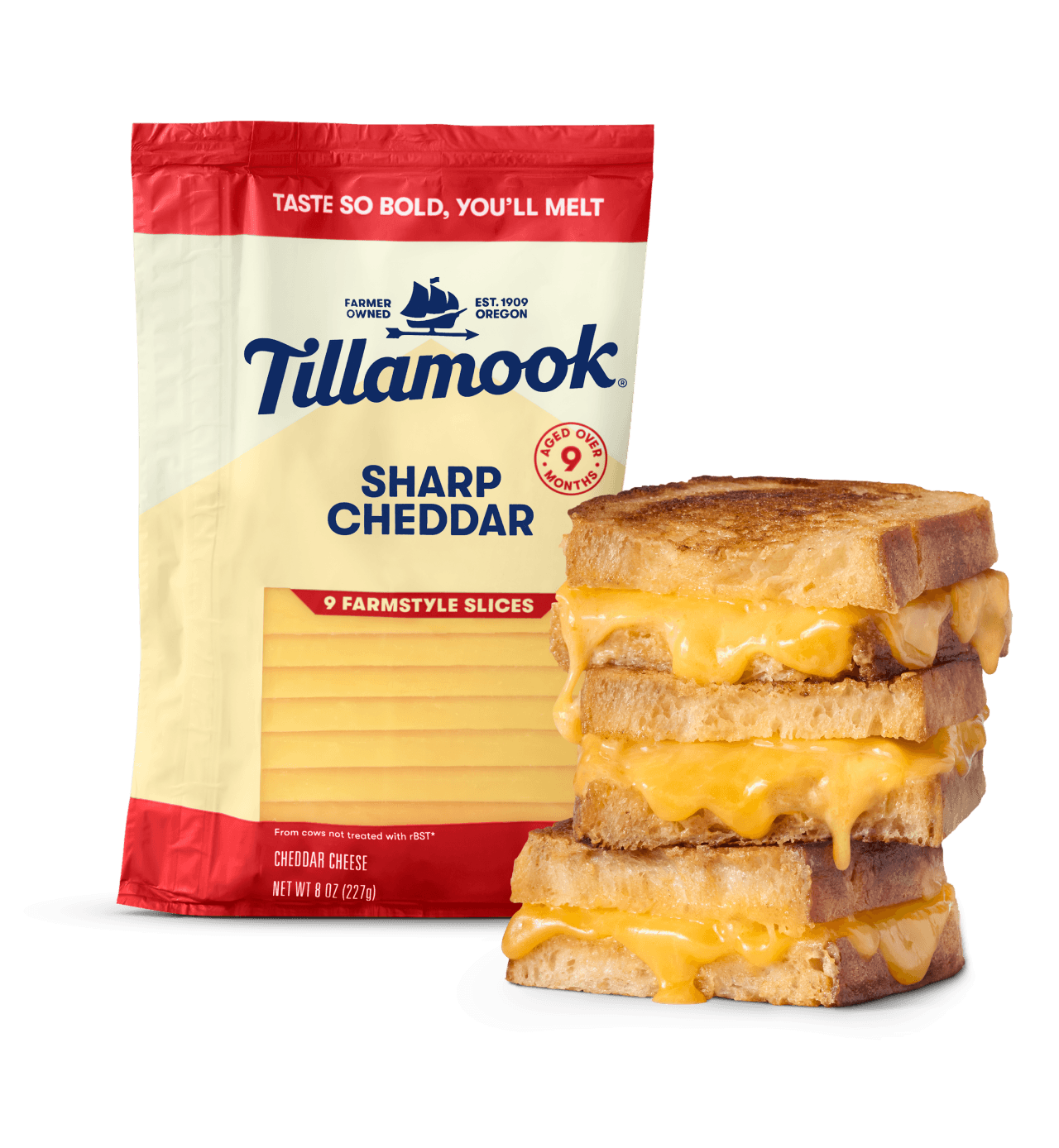 Grilled cheese image