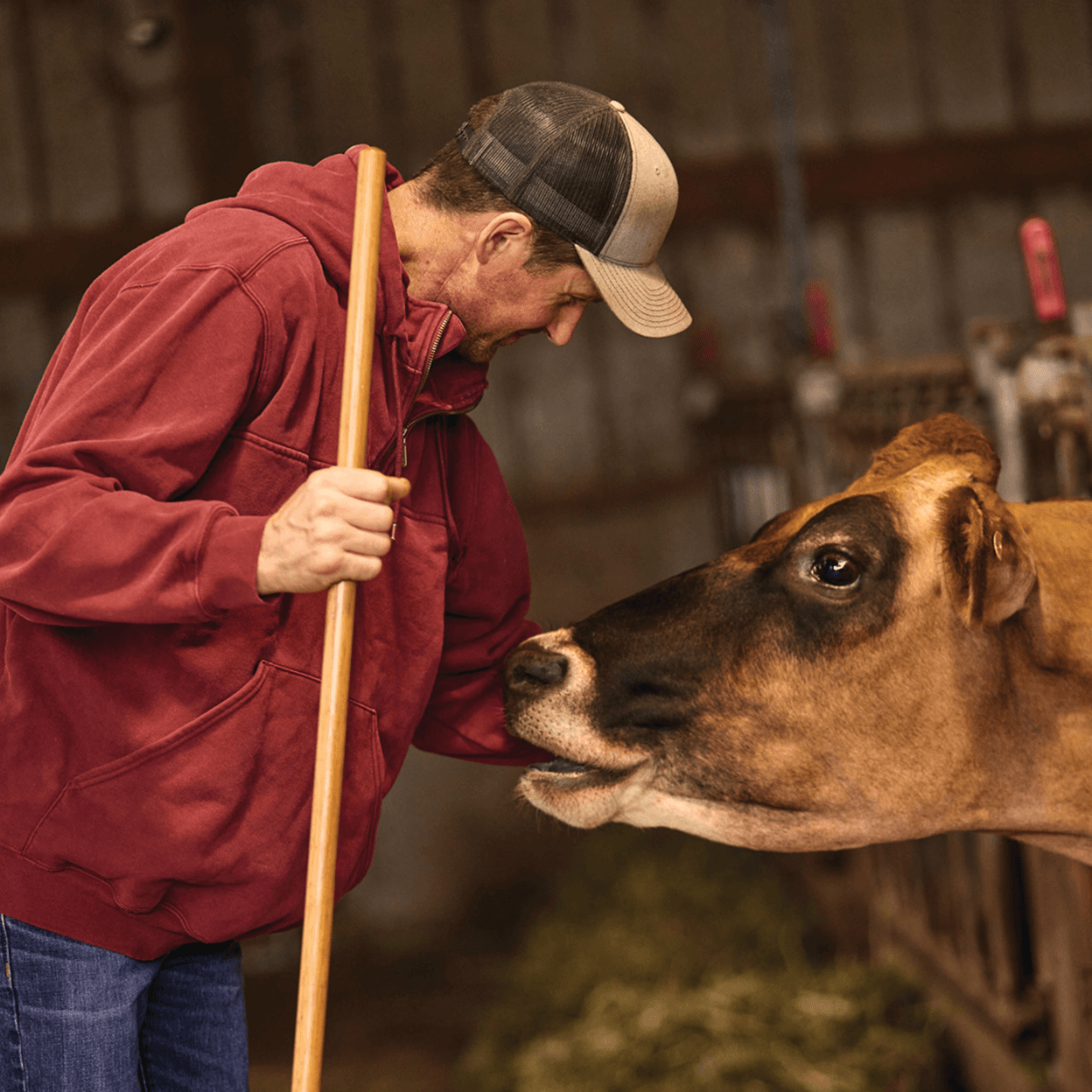 Farmer with cow